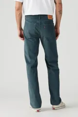 Pantalón de corte regular confeccionado en tejido de pana, con diseño de cinco bolsillos, cierre de bragueta y tiro bajo.