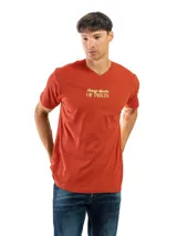 Remera de algodón color ladrillo con cuello en V y estampado frontal en color dorado con la frase "Strange species OF PLANTS".