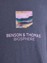 Remera gris de corte clásico con estampa artística en la espalda que representa capas geológicas coloridas y la palabra Biosphere.