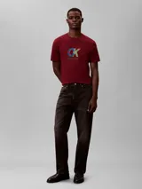 Remera de manga corta y cuello redondo, confeccionada en algodón. Presenta un estampado gráfico en el pecho con el monograma de la marca en colores azul, verde y rojo, junto con el logo de Calvin Klein debajo.
