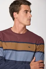 Remera de manga larga con diseño de franjas horizontales en tonos bordó, marrón, celeste y azul marino. Presenta cuello redondo y un pequeño logo bordado en el pecho.