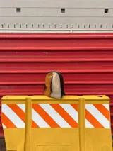 Mochila de cuero sintético color marrón y beige con textura símil cocodrilo, cierre superior con doble cremallera y tiradores de cuero, bolsillo vertical frontal con cremallera, bolsillo trasero oculto con cremallera, interior forrado con bolsillo con cremallera y correas regulables.