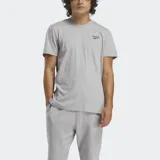 Remera gris de mangas cortas y cuello redondo, con logo de la marca estampado en el pecho.