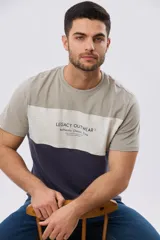 Remera de manga corta con diseño de bloques de color en tonos gris, blanco y azul marino. Cuenta con cuello redondo y una estampa tipográfica en el centro del pecho.