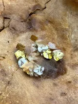 Aros colgantes de metal dorado con forma de pétalos de distintos colores.