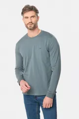 Remera manga larga lisa, color gris claro, con cuello redondo y logo bordado en el pecho.