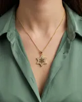 Collar de bronce dorado con cadena fina y dije en forma de Estrella de David, decorado con circón blanco en el borde y circón negro en el centro.