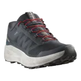 Championes de trail running Salomon Vision color gris oscuro, con detalles en rojo en los cordones, suela blanca y amortiguación texturizada.