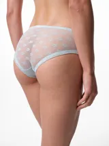 Bombacha de tiro medio confeccionada en microfibra y encaje, con panel frontal de encaje floral y laterales lisos. Cuenta con fundillo de algodón para mayor comodidad.
