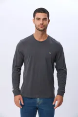 Remera manga larga lisa, color gris claro, con cuello redondo y logo bordado en el pecho.