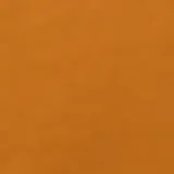 Campera estilo universitario color mostaza, con cierre de botones a presión, bolsillos laterales y un bolsillo interno. Tiene un parche con la letra P en el pecho y ribetes a rayas en puños y cintura.