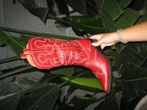 Bota texana de caña alta color rojo con bordado artesanal y taco de 5cm.