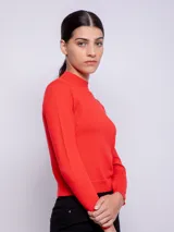 Polera negra de tejido de punto, manga larga y cuello alto.