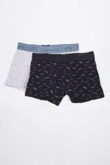 Pack de dos calzoncillos tipo bóxer con cintura elástica con logo. Uno de los modelos es gris claro con estampado de patinetas y el otro es negro con rayas horizontales blancas y grises.