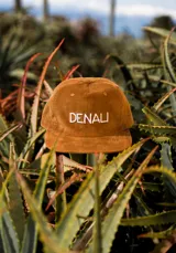 Gorro snapback de cinco paneles color marrón, con copa y visera recta en pana y bordado frontal con la palabra "Denali" en blanco.