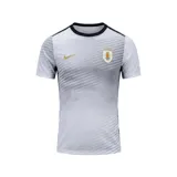 Camiseta de fútbol Nike de la selección uruguaya, modelo alternativo o de entrenamiento, color blanco con un patrón gráfico sutil de líneas diagonales grises. Presenta cuello redondo negro y logo Nike y escudo de la AUF en dorado.