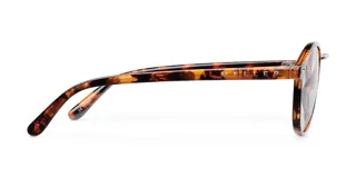 Lentes blueblocker con montura redonda carey y puente metálico plateado, diseñados para filtrar la luz azul de pantallas y proteger la visión.