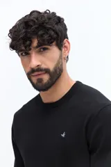 Sweater de hombre con escote redondo, manga larga y calce regular. Presenta un pequeño logo bordado en el pecho y puños acanalados.