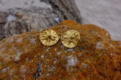 Aros tipo botón dorados con textura irregular que simula la superficie de un molusco.