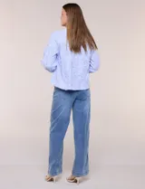 Blusa celeste a rayas con aplicaciones florales en relieve, escote en V y mangas 3/4 abullonadas con puños elásticos.