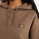 Buzo con capucha de corte cropped y diseño oversize, color negro. Presenta capucha con cordones ajustables, puños y cintura de punto acanalado, y etiqueta con el logo de Dickies en el pecho.
