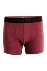 Bóxer de algodón color celeste con cintura elástica con la marca Legacy estampada.