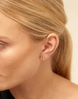 Aro piercing de metal plateado con forma de herradura y pequeños detalles circulares.