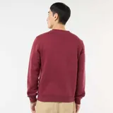 Buzo de cuello redondo en felpa perchada, de corte estándar y mangas largas con puños acanalados.