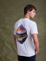 Remera gris jaspeado de manga corta con estampa gráfica en la espalda que representa un paisaje estratificado en colores vibrantes.