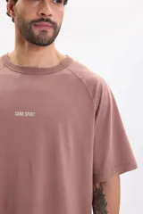 Remera de manga corta raglán en color marrón, de corte holgado y diseño liso con estampado tipográfico y gráfico en la espalda.