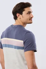 Remera de algodón de corte clásico y manga corta, con diseño de franjas horizontales en tonos azul, beige, verde y azul marino sobre base blanca.
