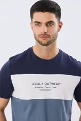 Remera de manga corta con diseño de bloques de color en tonos gris, blanco y azul marino. Cuenta con cuello redondo y una estampa tipográfica en el centro del pecho.