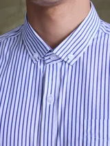 Camisa de manga larga con cuello abotonado y estampado de rayas verticales finas en tonos azul y blanco. Presenta un bolsillo frontal en el pecho y cierre de botones.