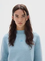 Polera de punto en color celeste, con cuello alto y manga larga. Presenta un pequeño logo bordado en el centro del pecho y terminaciones en tejido acanalado.