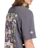 Remera de algodón color gris con cuello redondo y mangas cortas. Presenta un pequeño logo de Adidas Originals bordado en el pecho con un diseño gráfico colorido en su interior.