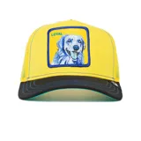 Gorra tipo trucker con panel frontal amarillo, visera curva negra y malla trasera amarilla. Presenta un parche bordado en el frente con la ilustración de un perro y la palabra 'LOYAL'.