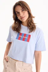 Remera celeste de algodón, de manga corta y corte cropped. Cuenta con un estampado frontal rectangular con rayas verticales rojas y azules y la frase "Hey, Love.".