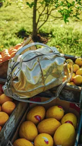 Bolso tipo hobo de cuero en tono dorado metalizado, con diseño amplio y flexible. Cuenta con doble correa de hombro, cierre superior y herrajes metálicos.