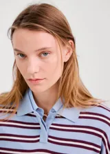 Jersey de punto celeste con rayas horizontales marrones y finas rayas blancas, cuello polo con solapa y cierre frontal de botones cortos, y mangas largas.