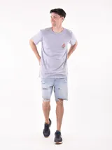 Remera gris con estampado pequeño en el pecho que incluye una montaña, un sol y olas.