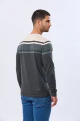 Remera de manga larga con cuello redondo, diseño a rayas horizontales en tonos beige, verde oscuro y gris. Confeccionada en algodón y poliéster.