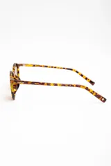 Lentes de sol polarizados con armazón carey de diseño redondo y lentes marrones.