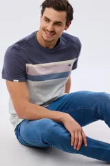 Remera de algodón de corte clásico y manga corta, con diseño de franjas horizontales en tonos azul, beige, verde y azul marino sobre base blanca.