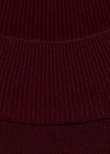 Jersey de punto fino color bordó, con cuello perkins y mangas cortas. Presenta un diseño entallado al cuerpo.