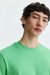 Remera de algodón liviano color verde, con cuello redondo y corte estándar.