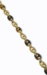Cinturón de cadena para mujer elaborado en metal y acrílico, con eslabones ovalados bicolor en tonos dorados y carey, caída flexible y detalle de cadena colgante en el lateral.