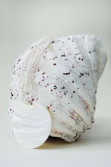 Collar de tres hileras de perlas pequeñas con un medallón central de nácar circular.