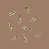 Capa de paño color rojo con corte amplio y caída natural. Presenta detalles de dijes metálicos en baño de oro distribuidos en la espalda y una etiqueta de cuero con el logo de la marca en la parte superior.