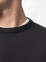 Buzo tejido de cuello redondo, confeccionado en algodón, con puños y ruedo acanalados.
