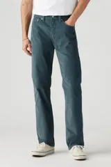 Pantalón de corte regular confeccionado en tejido de pana, con diseño de cinco bolsillos, cierre de bragueta y tiro bajo.